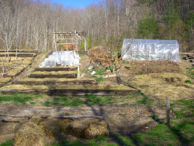 The Garden Beds - our raised beds, cloches and hoophouse